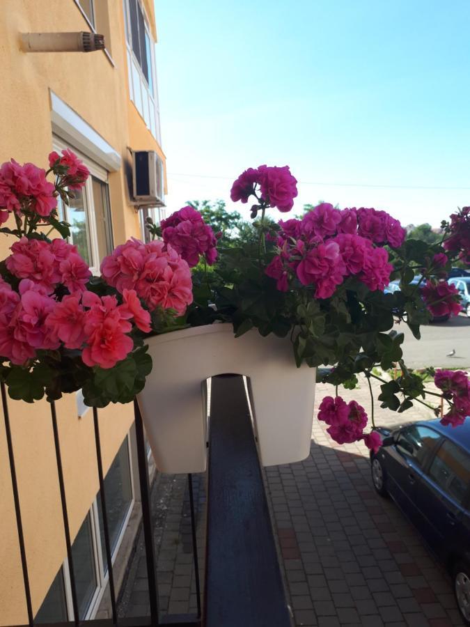 Angel apartament Sibiu Bagian luar foto